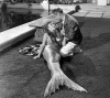 Mr. Peabody and the Mermaid (1948)