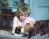 Zatracená kočka (1965)