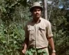 Přátelé z džungle (1971)