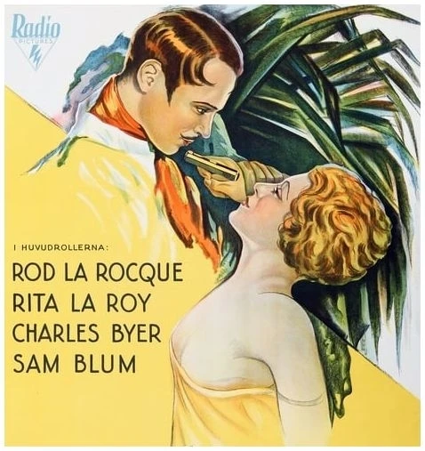 The Delightful Rogue (1929)