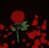 Slavík a růže (1967)