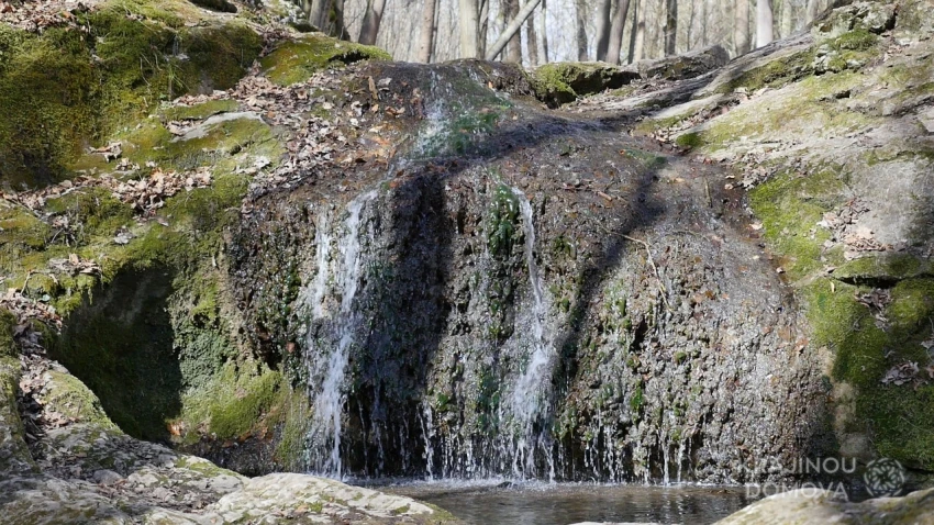 Pěnovcové vodopády na Bubovickém potoce