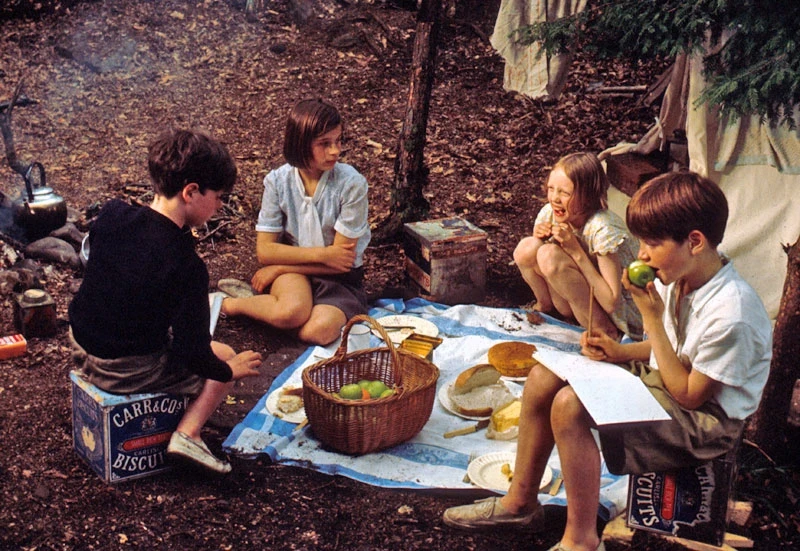 Vlaštovky a Amazonky (1974)
