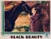 Black Beauty (1933)