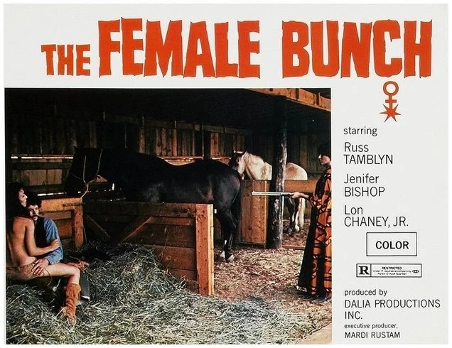 The Female Bunch (1971)