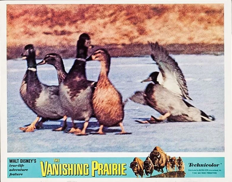 The Vanishing Prairie (1954)