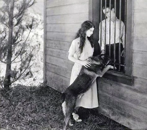 Rin-Tin-Tin zachráncem svého pána (1924)