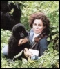 Gorily v mlze (1988)