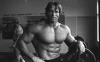Železný Schwarzenegger (1977)