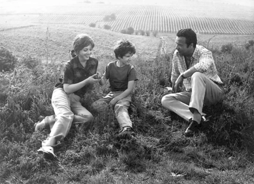 Bouřlivé víno (1976)