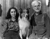 Odvážná Lassie (1946)