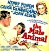 Mužské zvíře (1942)