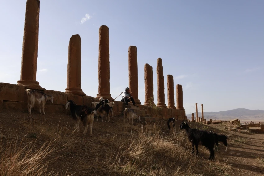 Timgad (2016)