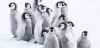 Putování tučňáků: Volání oceánu (2017)