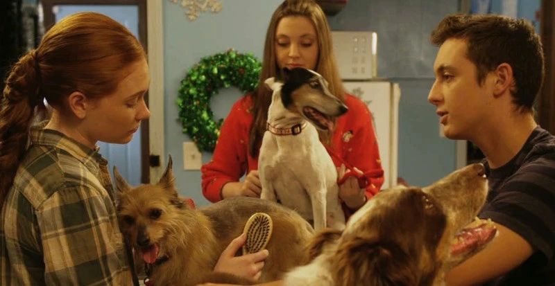 12 Dog Days Till Christmas (2014)