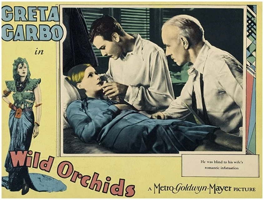 Divoké orchideje (1929)