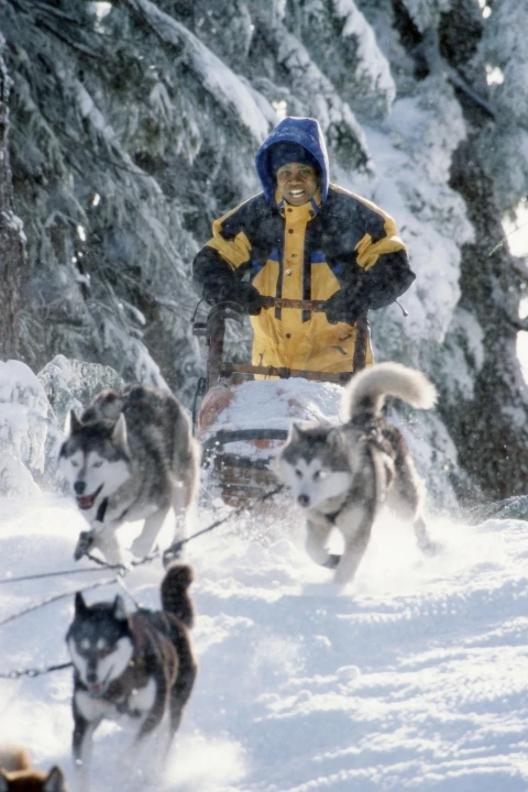 Sněžní psi (2002)