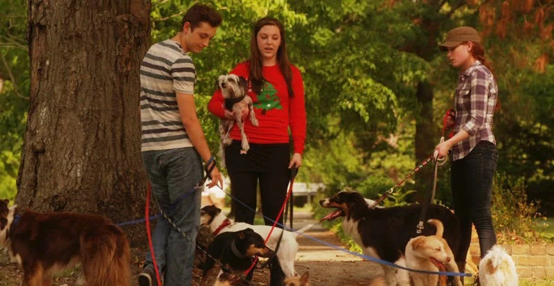 12 Dog Days Till Christmas (2014)