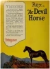 The Devil Horse (1926)