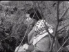 Pašeráci (1958)