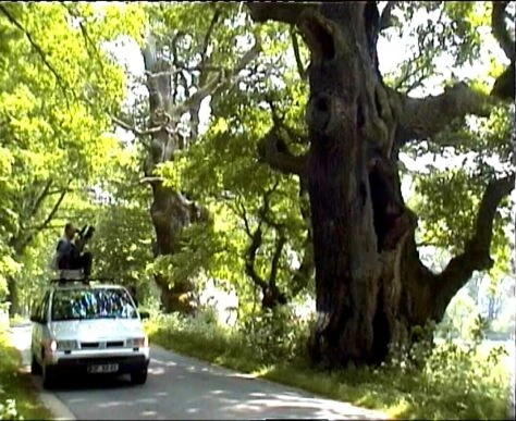 Paměť stromů (2003) [TV seriál]