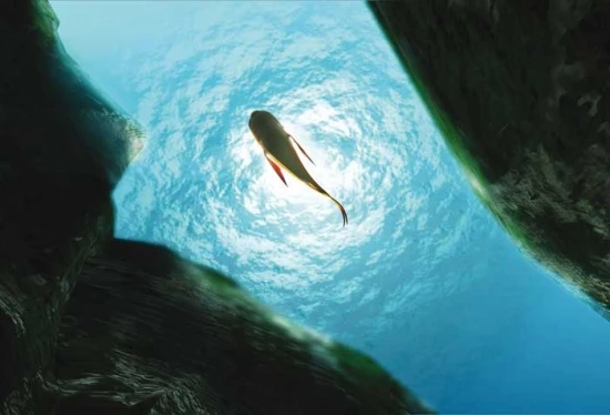 Past na žraloka (2006)