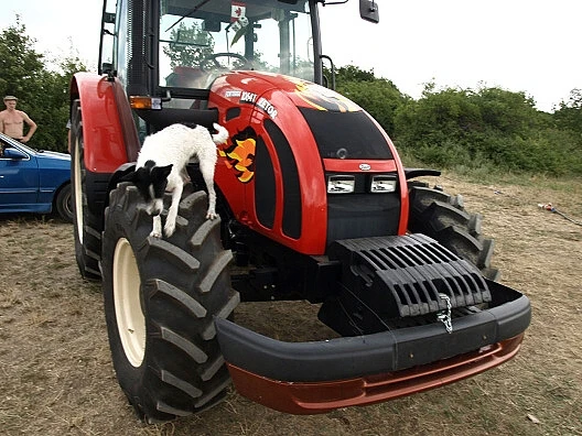 zetor