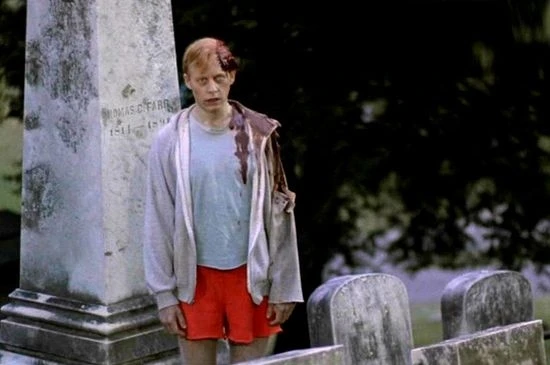 Hřbitov domácích zvířat (1989)