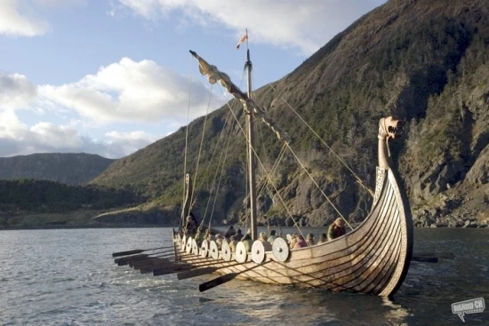 Vikingové II (2008)