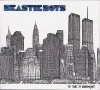 Beastie Boys, 50 kamer a 40 tisíc očí (2006)