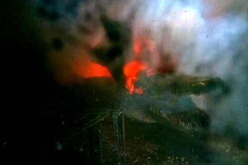 Aligátor (1980)