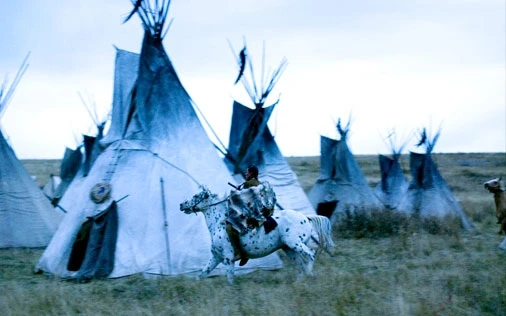 Mé srdce pohřběte u Wounded Knee (2007) [TV film]