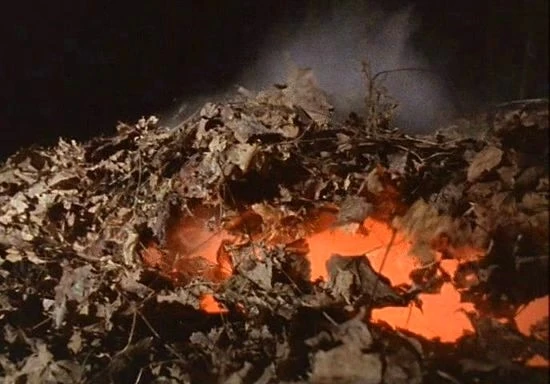 Lesní duch (1981)