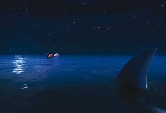 Past na žraloka (2006)