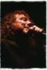Robert Plant Vocals