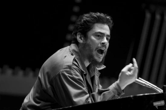 Che Guevara: Partyzánská válka (2008)