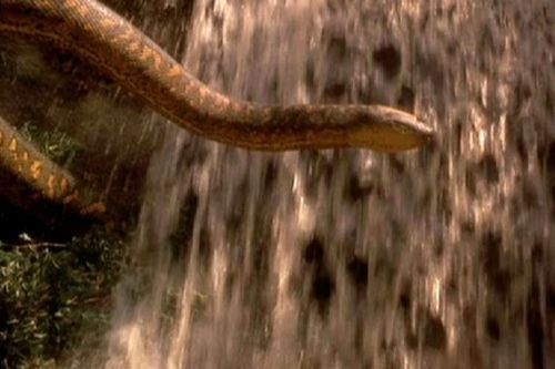 Anakonda (1997)