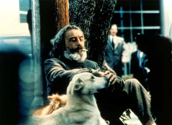 Amores perros – Láska je kurva (2000)
