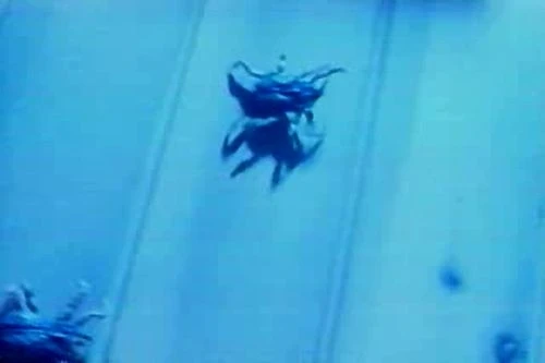 Klíšťata (1993) [TV film]