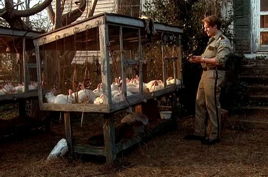 Hřbitov domácích zvířátek 2 (1992)