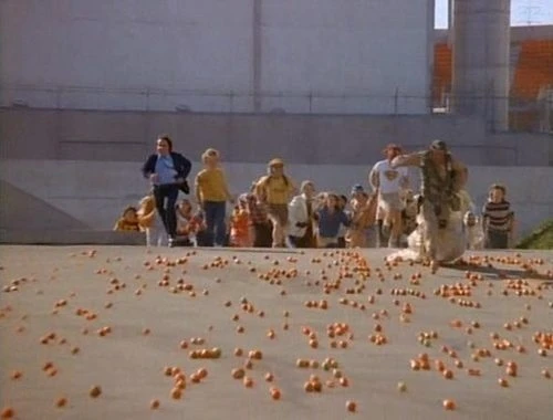 Attack of the Killer Tomatoes! (1978)