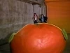 Attack of the Killer Tomatoes! (1978)