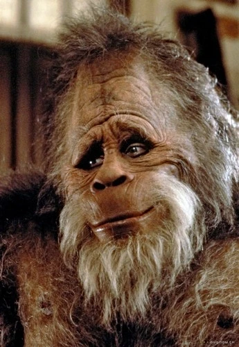 Harry a Hendersonovi (1987)