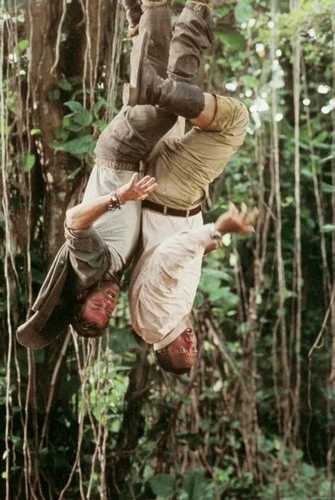 Vítejte v džungli (2003)