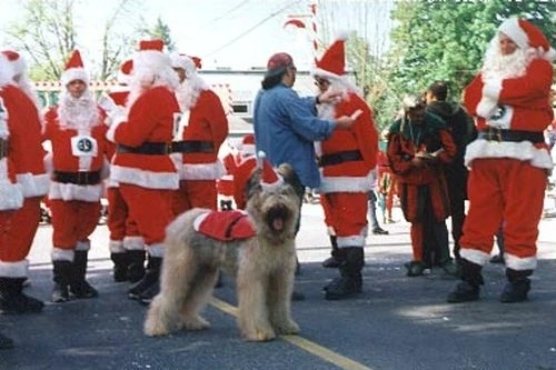 Na Vánoce budu doma (1998)