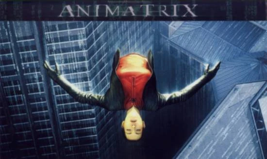 Animatrix (2003) [Video]
