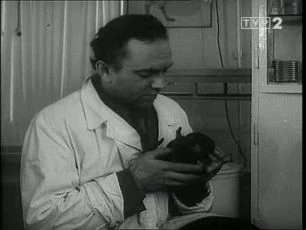 Příhody psa Civila (1970) [TV seriál]