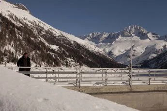 La foresta di ghiaccio (2014)