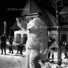 Bílý medvěd (1959)