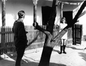 Ticho a křik (1967)